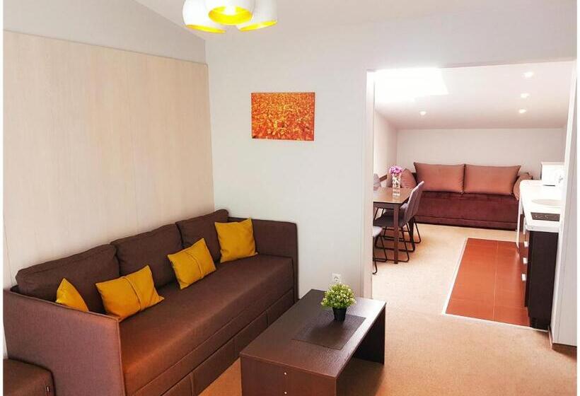 آپارتمان لوکس 2 خوابه, Vivulskis Apart