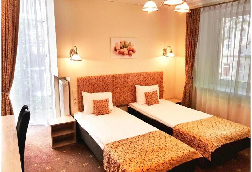 اتاق استاندارد, Vivulskis Apart