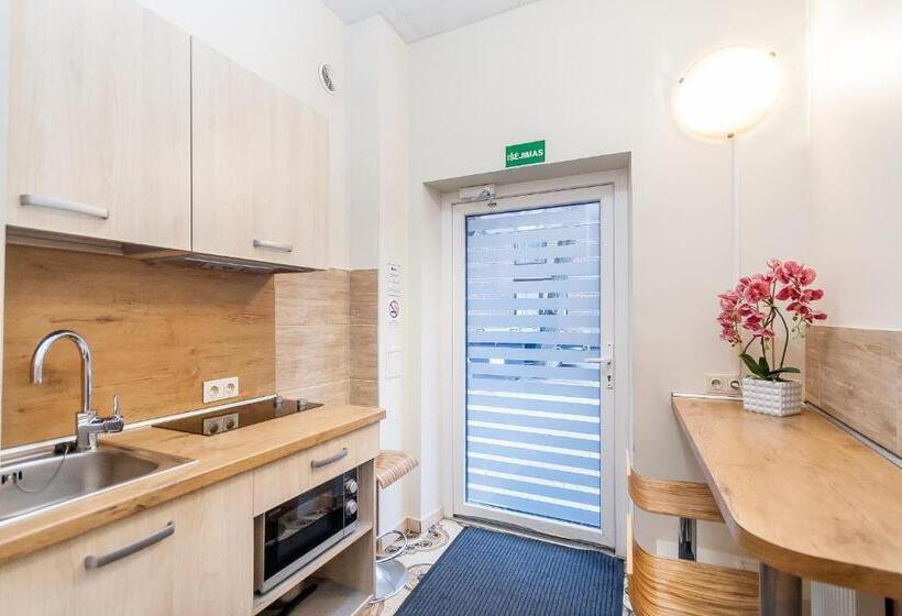 آپارتمان 1 خوابه, Vivulskis Apart