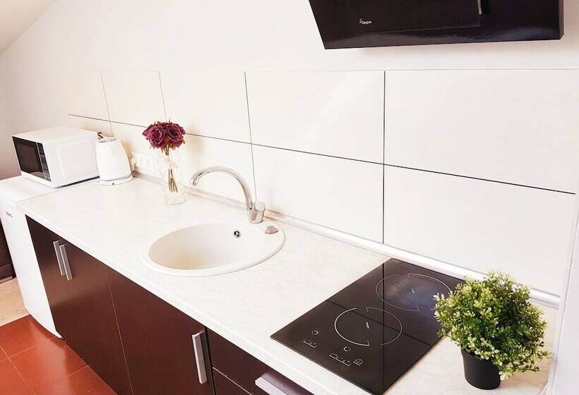 آپارتمان لوکس 2 خوابه, Vivulskis Apart