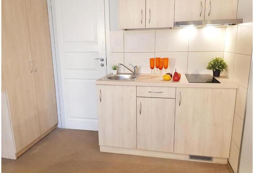 اتاق سوپریور, Vivulskis Apart