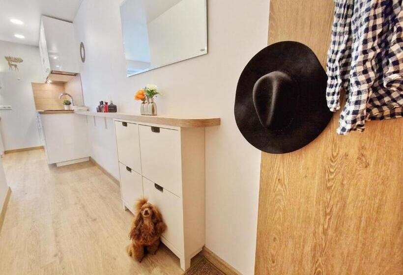 استودیوی سوپریور, Vivulskis Apart