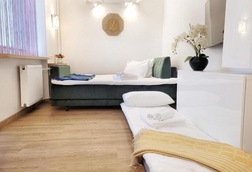 استودیو استاندارد با بالکن, Vivulskis Apart