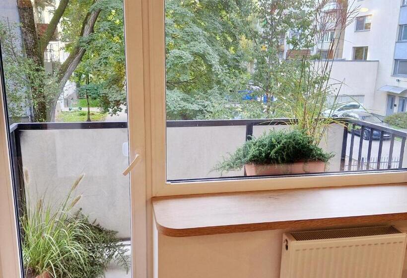 استودیو استاندارد با بالکن, Vivulskis Apart