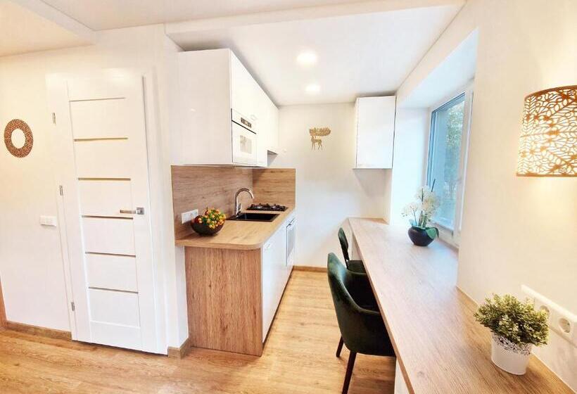 استودیو استاندارد با بالکن, Vivulskis Apart