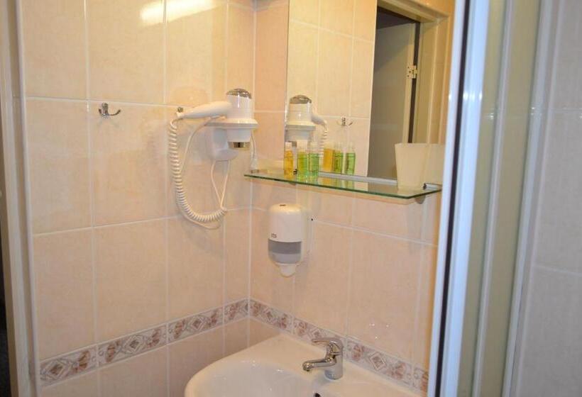 اتاق استاندارد یک نفره, Yes