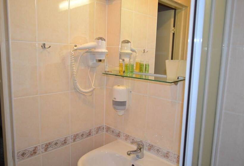 اتاق استاندارد سه نفره, Yes