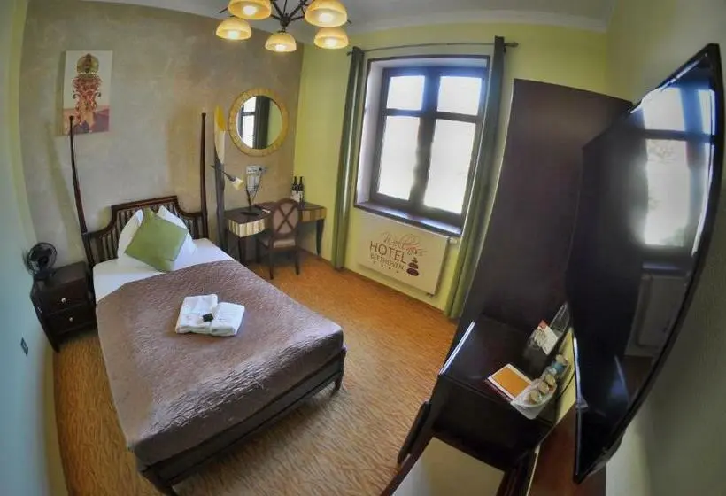 Standard Yhden Hengen Huone, Wellness Hotel Beethoven