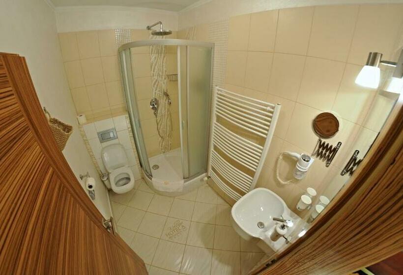 غرفة قياسية فردية, Wellness Hotel Beethoven