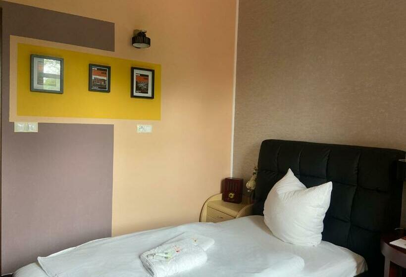 غرفة قياسية فردية, Wellness Hotel Beethoven