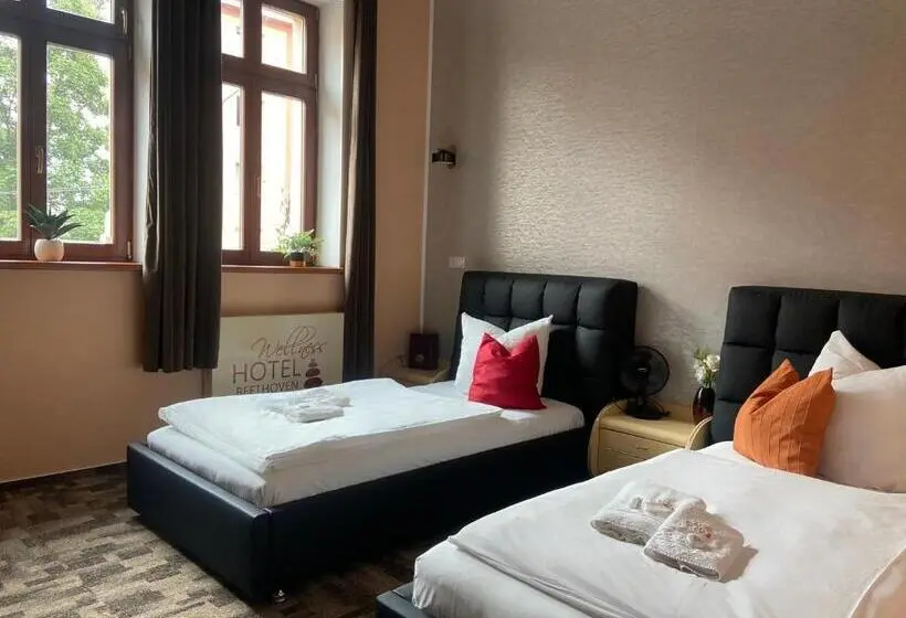 Standard-huone, Wellness Hotel Beethoven
