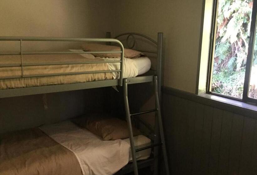 מיטה בחדר משותף, Ivorytowers Accommodation