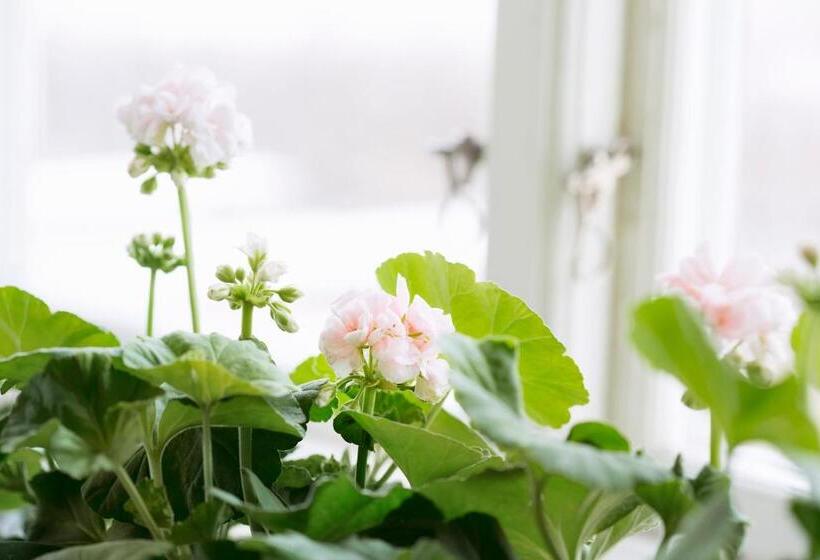 ファミリールーム, Strandvillan Hotell Och Bed & Breakfast