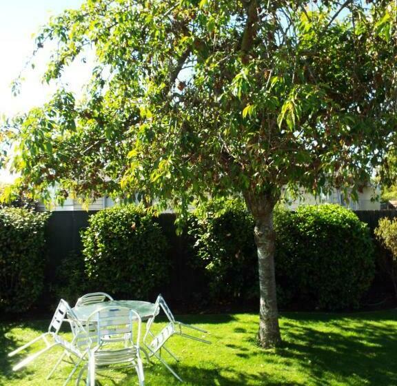 Студия Deluxe, Andorra Motel