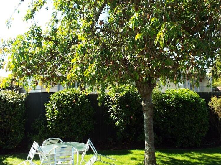 Студия Deluxe, Andorra Motel