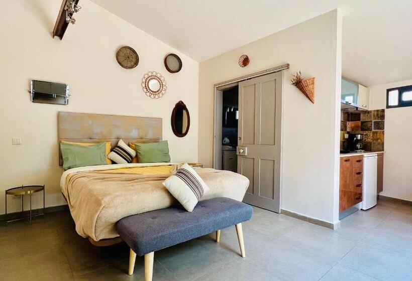 Standard-studio Puutarhanäkymä, Gato Preto De Silves Adults Only