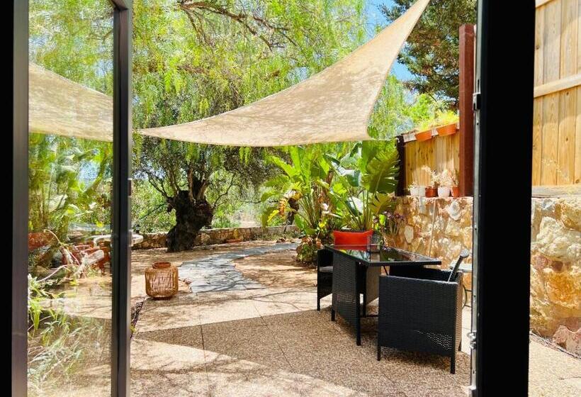 Standard-studio Puutarhanäkymä, Gato Preto De Silves Adults Only