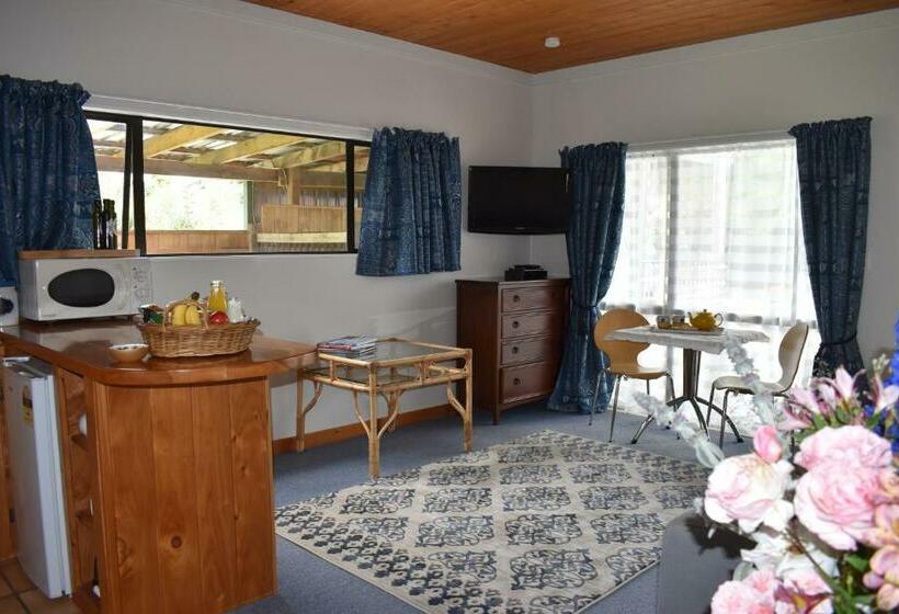 デラックススタジオ, Olivista