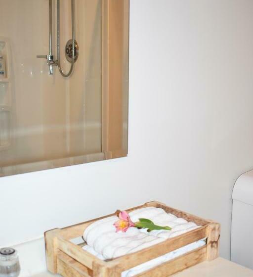 デラックススタジオ, Olivista