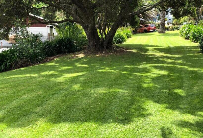 1ベッドルームアパートメント, Half Moon Bay Motel