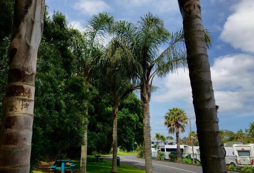 1ベッドルームアパートメント, Half Moon Bay Motel