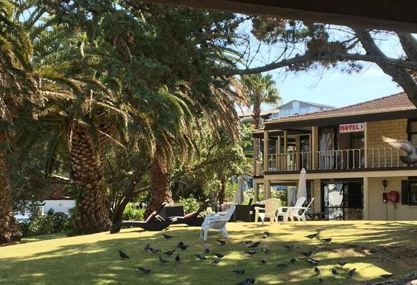 スタンダードスタジオ, Half Moon Bay Motel