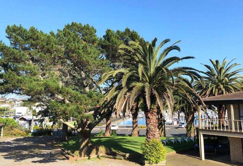 スタンダードスタジオ, Half Moon Bay Motel