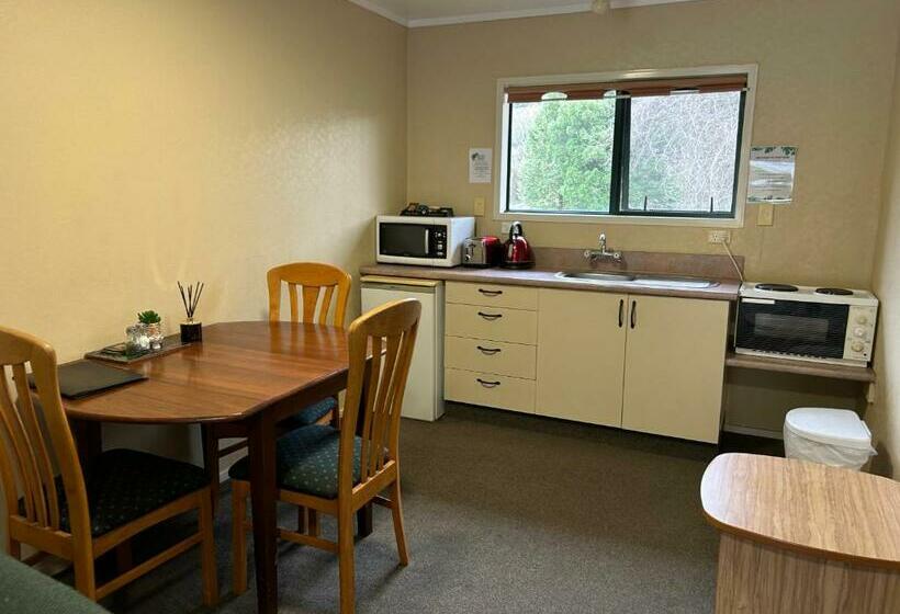 キングサイドベッドのスタンダードワンルーム, Kiwi Park Motels