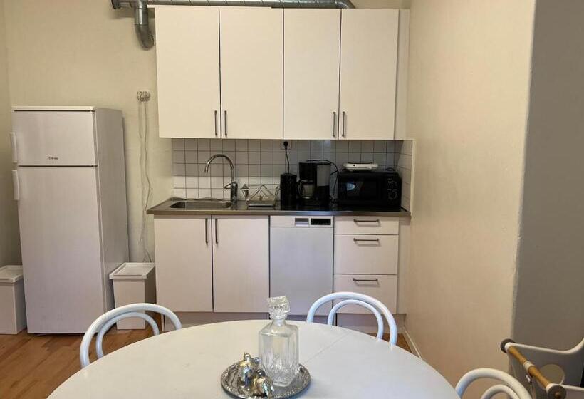 带1个卧室的公寓, Rut & Ragnars Vandrarhem