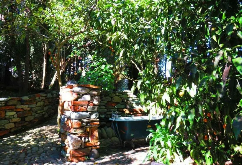 Superior-huone King-vuode, Shady Rest Bed & Breakfast