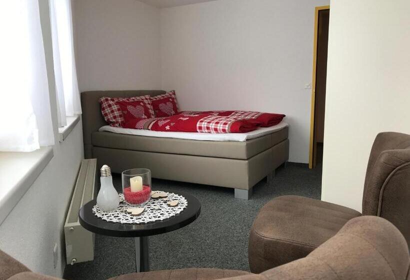 Standaardkamer met Uitzicht op de Bergen, Berggasthaus First Only Accessible By Cable Car