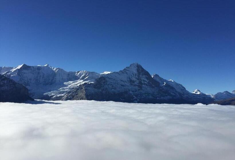 تختخواب در اتاق مشترک, Berggasthaus First   Only Accessible By Cable Car
