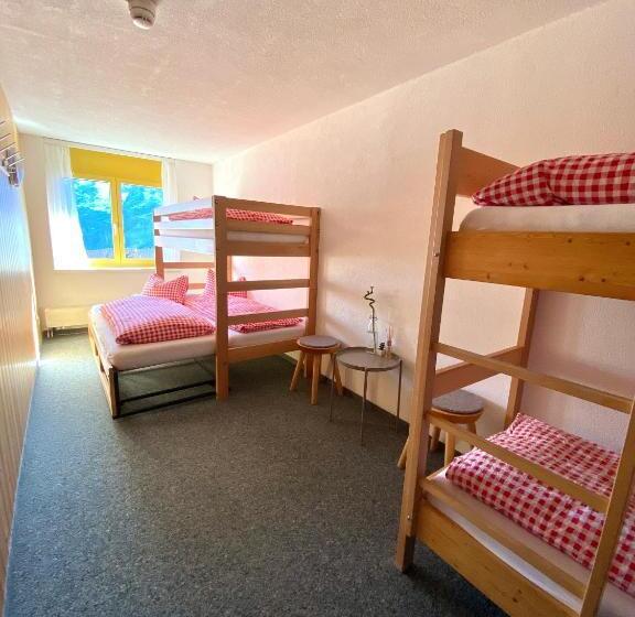 Standaardkamer met Tweepersoonsbed, Berggasthaus First Only Accessible By Cable Car