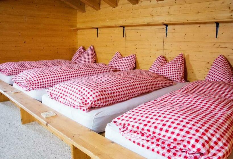 Bed in een Gedeelde Kamer, Berggasthaus First Only Accessible By Cable Car