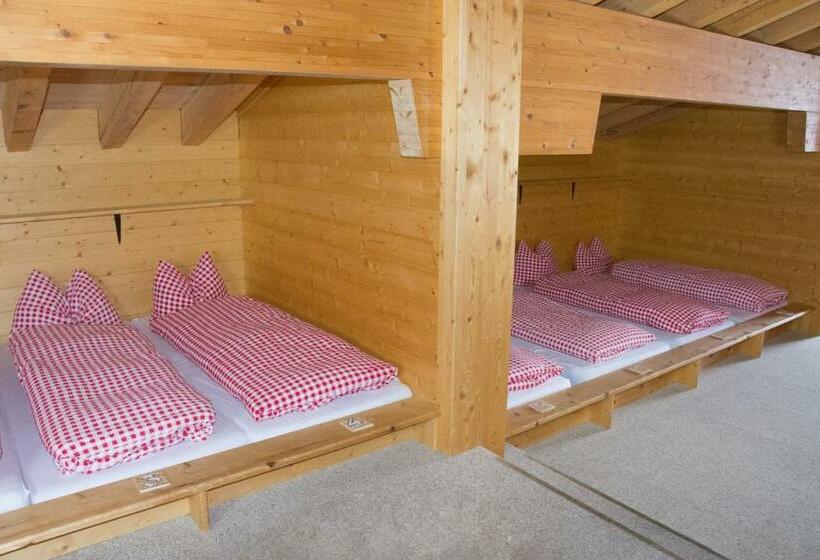 Bed in een Gedeelde Kamer, Berggasthaus First Only Accessible By Cable Car
