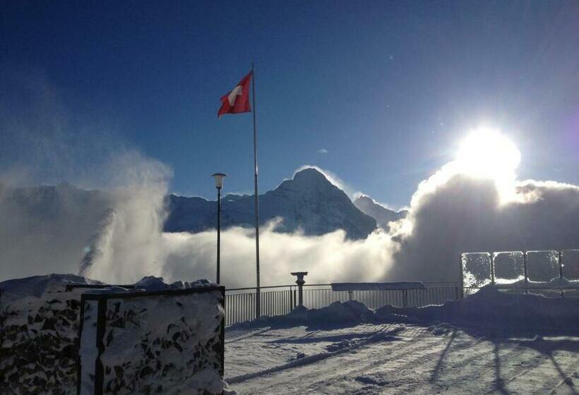 Bed in een Gedeelde Kamer, Berggasthaus First Only Accessible By Cable Car