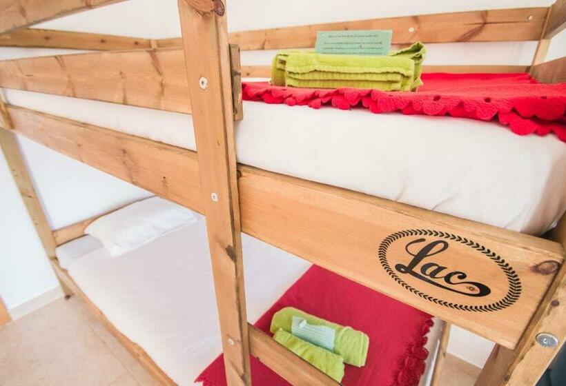 共用房间的床, Green House