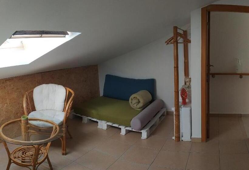 1间卧室的房子, Green House