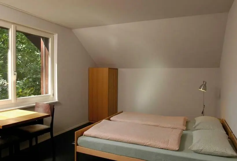Standard-huone Jaettu Kylpyhuone, Baden Youth Hostel