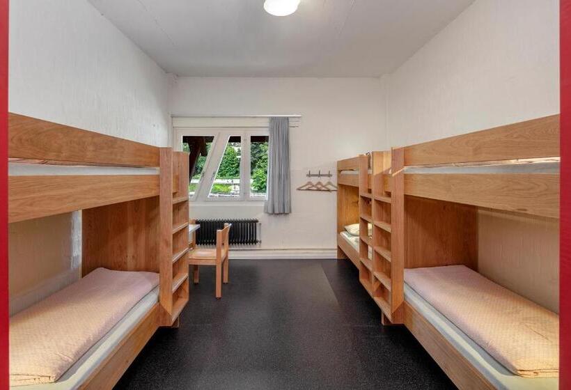 共用房间的床, Baden Youth Hostel