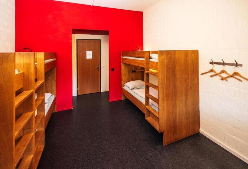 Кровать в Общей Комнате, Baden Youth Hostel