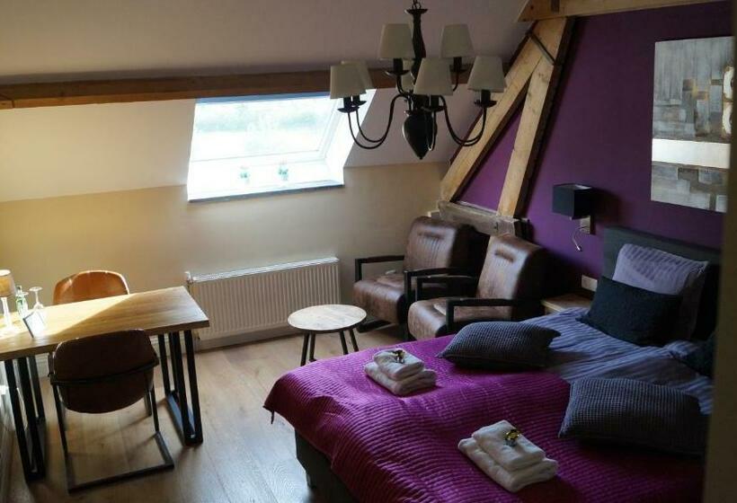 חדר סופריור עם מיטת קינג, B&b Johannes Hoeve