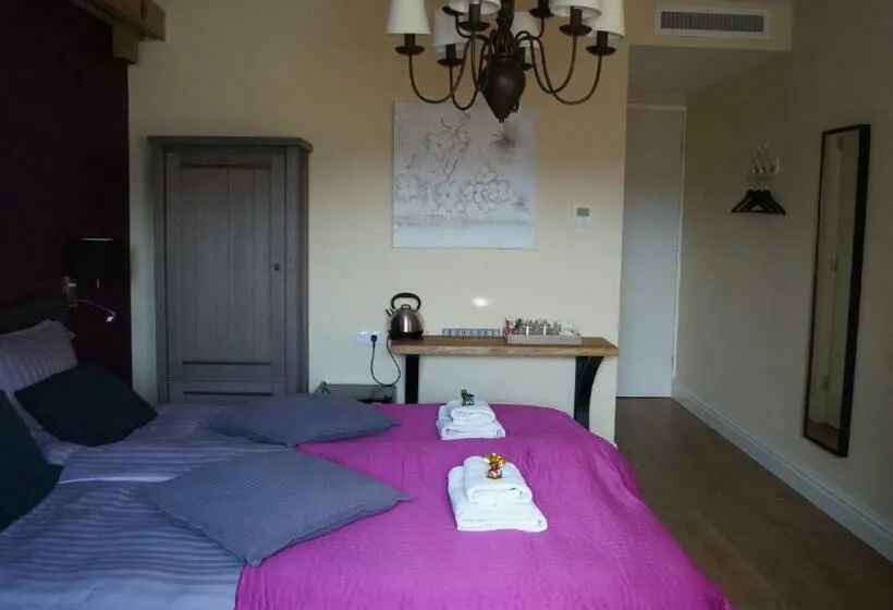 Superior-huone King-vuode, B&b Johannes Hoeve