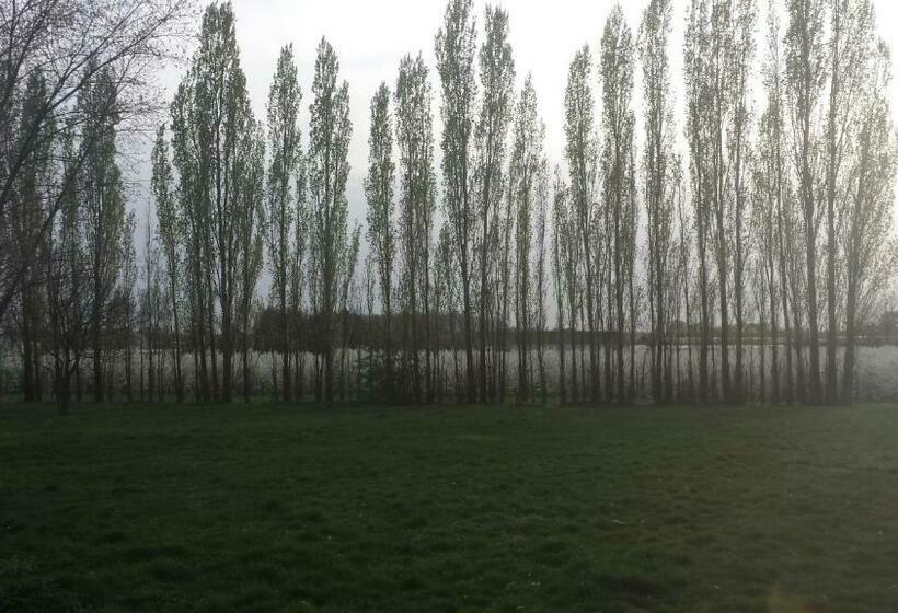 带大床的高级房间, B&b Johannes Hoeve