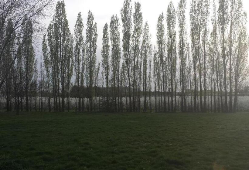 اتاق استاندارد با تخت بزرگ, B&b Johannes Hoeve