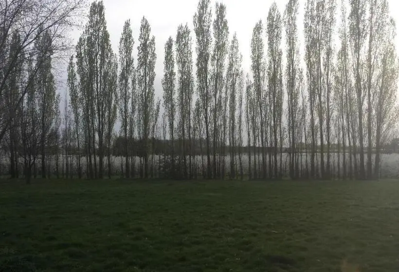 Standard-huone King-vuode, B&b Johannes Hoeve