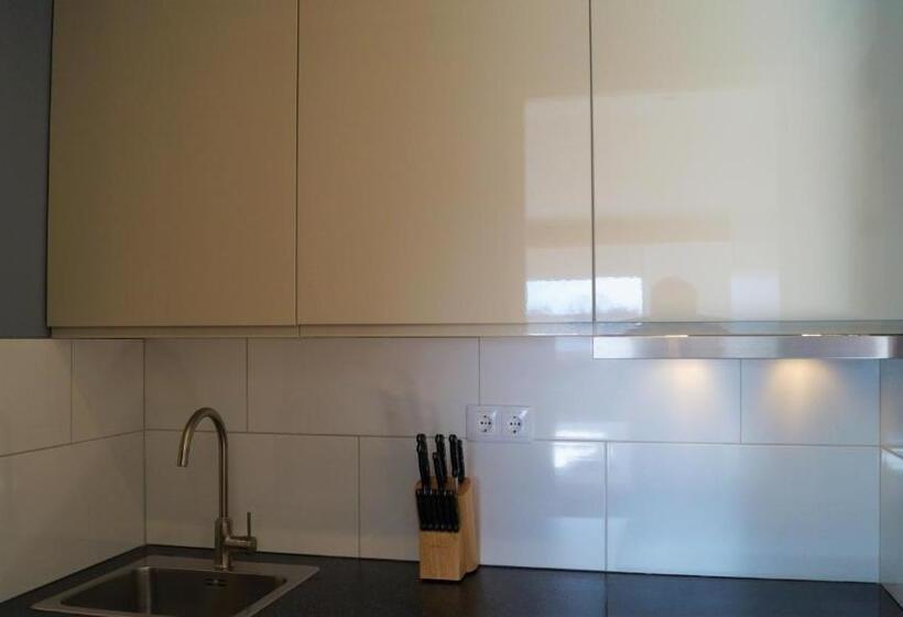 דירת חדר דלוקס, B&b Johannes Hoeve