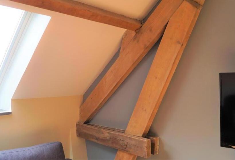 דירת חדר דלוקס, B&b Johannes Hoeve