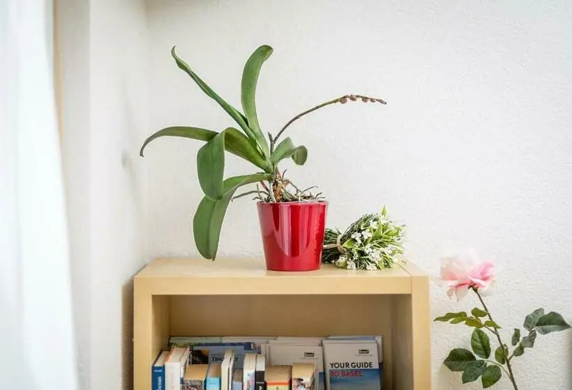 Standard Yhden Hengen Huone Jaettu Kylpyhuone, Mybednbreakfast In Bottmingen