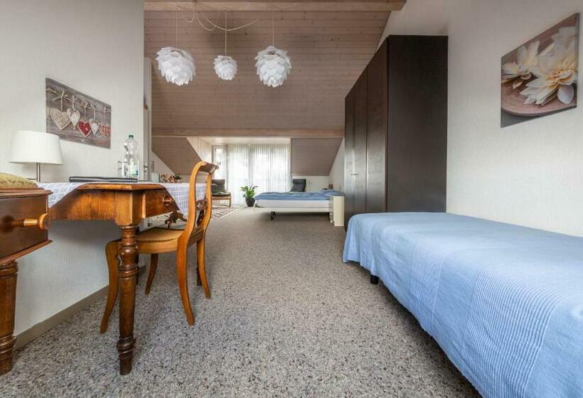 Standard Værelse, Mybednbreakfast In Bottmingen